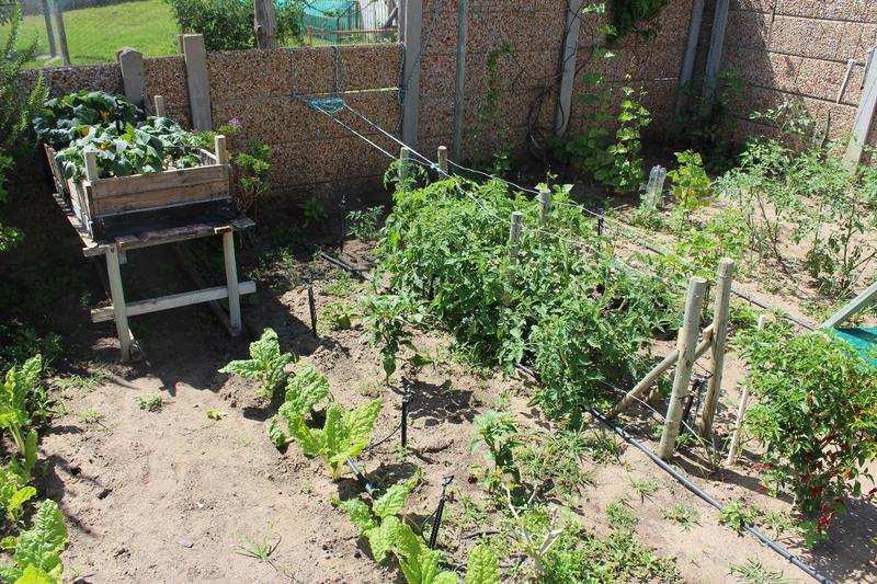 4 Bedroom Property for Sale in Albertinia Western Cape